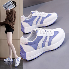 2026�����¿����\��ЬŮЬ�p��ƴɫŮЬ�������eϵ��С��Ь1713