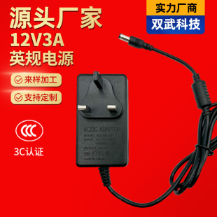 British Standard 12V3A Switching Power Adapter Charger Wall-Mounted Monitoring Led Lamp with Table Lamp Makeup Mirror Manufacturer