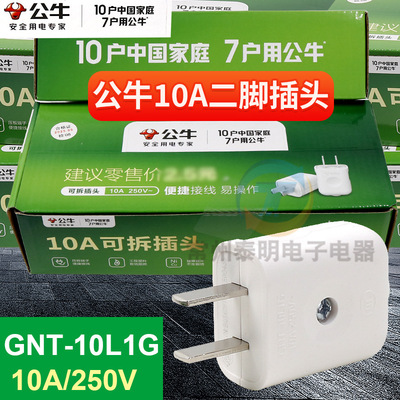 正品公牛10A插头电线二头两脚接线两孔2角项电源2脚极GNT-10L1G