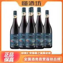 醇美汇智利原瓶进口红酒干红葡萄酒安第斯之翼黑皮诺750ml