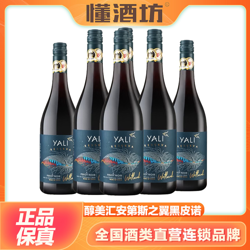 醇美汇智利原瓶进口红酒干红葡萄酒安第斯之翼黑皮诺750ml