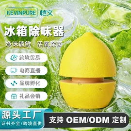 空气净化器;冰箱净化器;除醛机