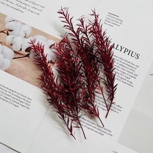 ��������������ǧ�ӽ����~diy���ϱ��r�R���ɻ��Y�оGֲ�Ĕz����