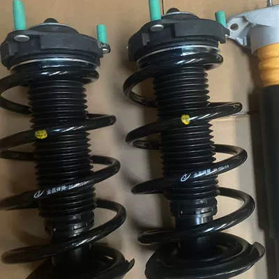 damping system and rear shock