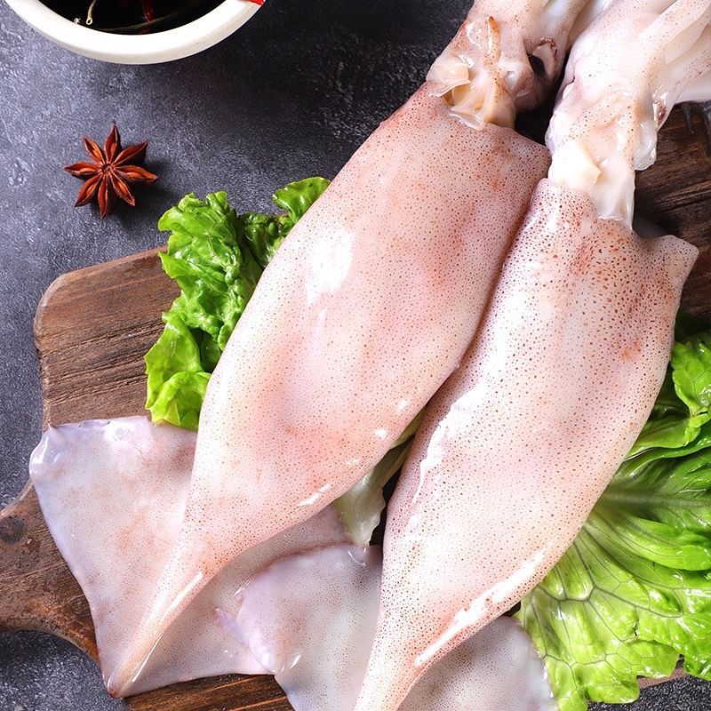 10斤包邮新鲜大鱿鱼整只装大乌贼鱿鱼须大章鱼