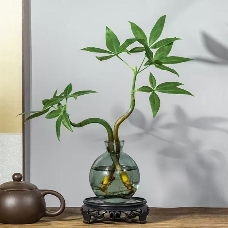 Cây Tiền Vui Nhộn Cực Đôi + Chai Nhỏ Màu Xanh Sang Trọng Nhẹ + Đế Nhựa Tròn