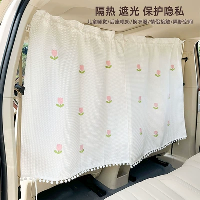 Blue Rain Car Barrier Curtain: Car curtains