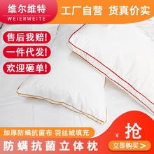 ���m�������^�w��Ƥ��z��������^���w��͸��ͨ�����״�̖��о