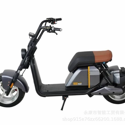 New Cross-Border Export: Elektrikli motosikletlər