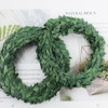 Simulation Green Plant Iron Wire Vine DIY Weaving Handmade Vine Flower Ring Accessories Flower Ring Decoration Leaf Tengbar wholesale