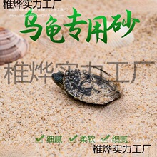 孵化乌龟草龟天然底砂产蛋鱼缸装饰造景砂子冬眠下蛋养殖沙河沙