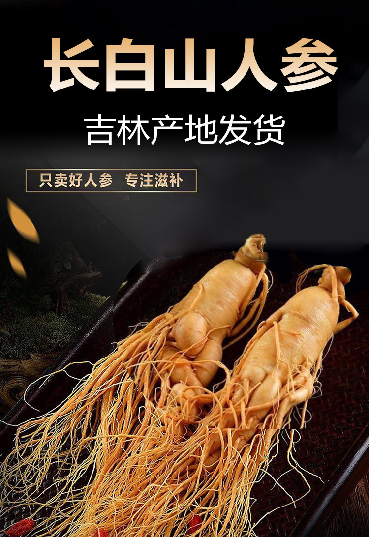 Fresh Changbai Mountain Ginseng Ren Shen Whole Root for Wine Infusion and Soup Making Gift Box overview