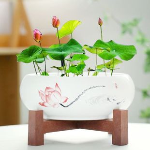 ���l��ɏ��ˮɏ����ˮ��ˮ�ɴ�ڏ��մɼ����~�X��һ�~ɏ�B�~�،�