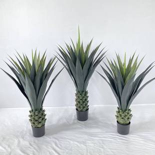 ���� ���}�� �����m�Gֲ���Լ�ֲ��͏d�Ҿ��҃��b���ؔ[������