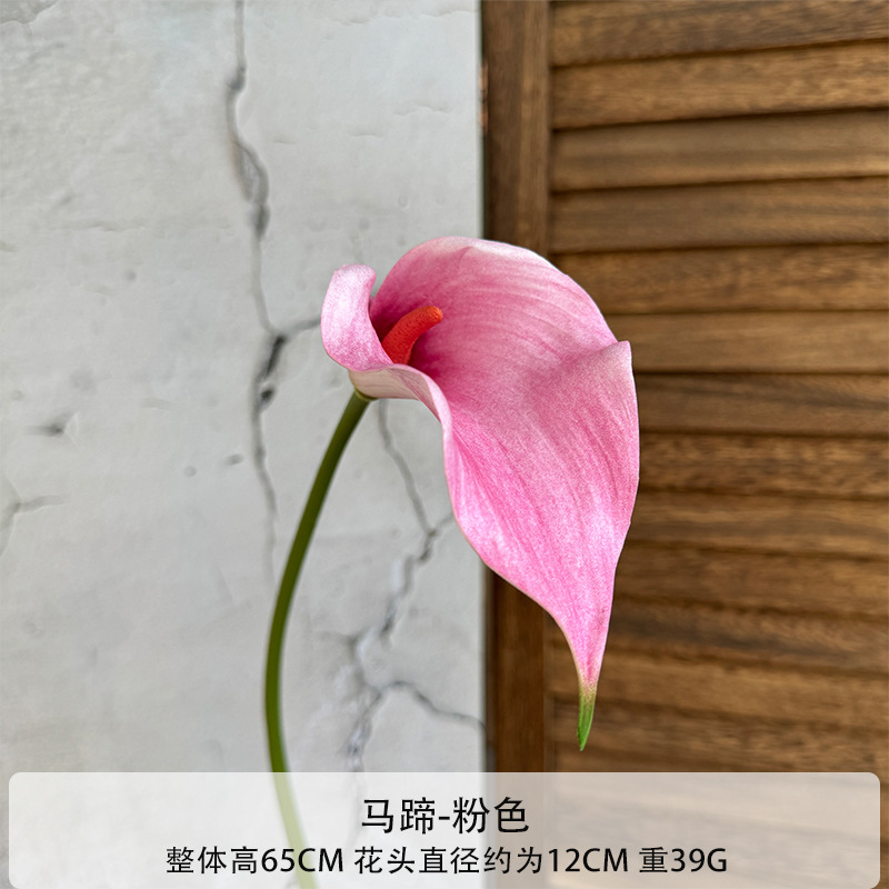 분홍색
