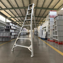 �X�Ͻ��������_�ݹ��@��ժ�ݵǸ��݈@�֌����݆΂������l���ۯB��