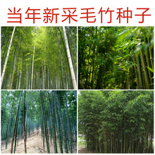 ���羳��؛�����ӷN�������GֲͥԺ�����S�����_�h���ͺ��ϱ���