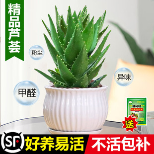 �J�C�����������҃ȃ����՚����ȩֲ���k���������ļ����B����