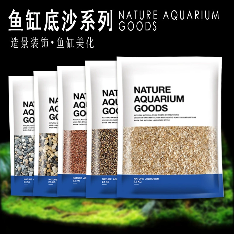 Песок на дне каракатицы