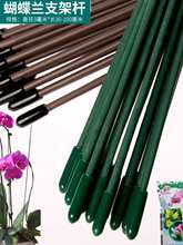 �����m֧��ֲ��֧�ΗU���ٻ��ܽ��X��֧���܊A�ӾGֲ���Ͱ��z�F�z