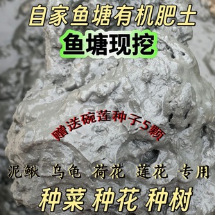 ���������Ȼ������ֲ��������ɏ�B���ЙCһ�~ɏ˯ɏ�ɻ�ˮ��