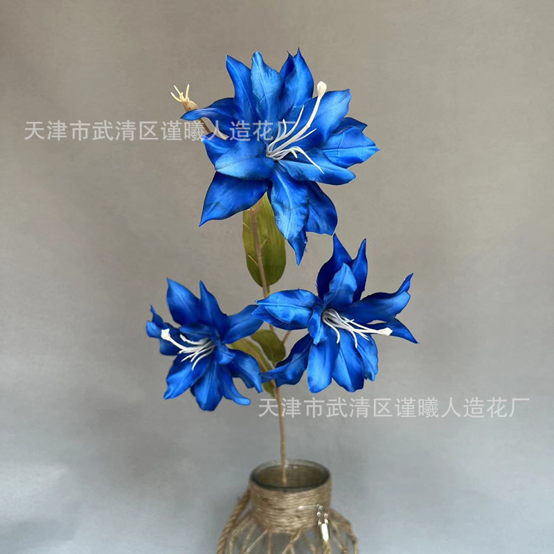 작은 릴리 사파이어 블루