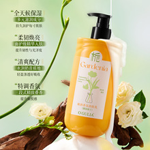 �������I������՝��w�飨¶Ⱦ�d�ӣ�500g�����̝������ﶬ�W��Ů