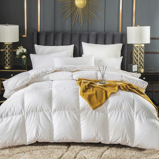 Export five-star hotel 95 white goose down quilt high-end household car warm down quilt white duck down quilt core wholesale