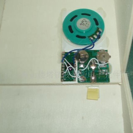 botaoe波涛IC新电子元件厂供音乐IC万圣节鬼叫声芯片巫婆笑声机芯