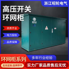 油浸式变压器;箱式变电站;配电柜