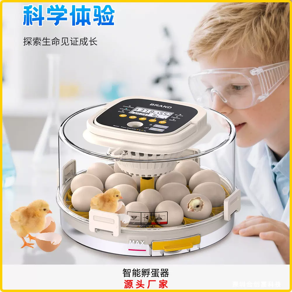 跨境爆款全自动智能家用18枚小鸡孵化器小型恒温孵蛋器自动翻蛋