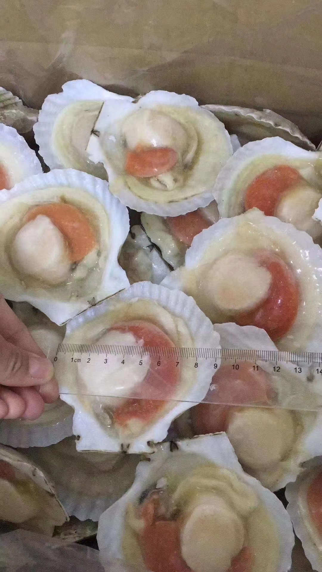 微信图片_20220707191707