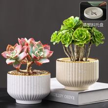 花盆陶瓷北欧风创意个性简约吊兰蝴蝶兰专用绿萝多肉花盆带托盘