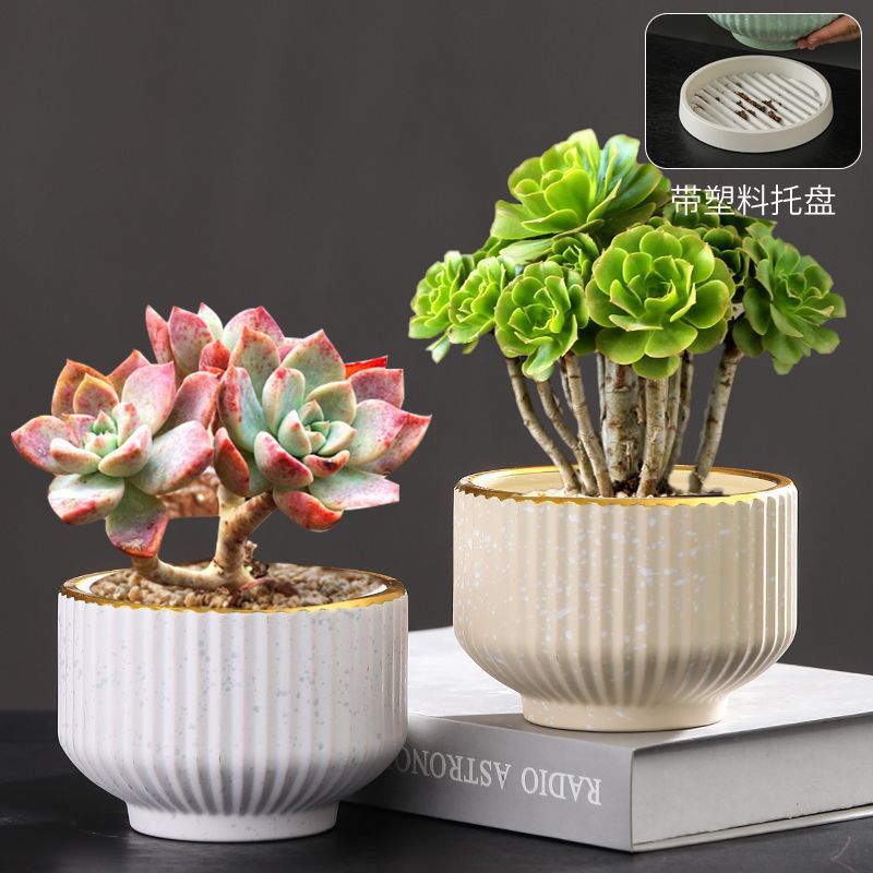 花盆陶瓷北欧风创意个性简约吊兰蝴蝶兰专用绿萝多肉花盆带托盘