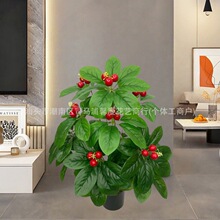 �羳����Gֲ18�^�lؔ������ľ�٘�ٻ��辰�͏d�̈��b��쾰�[��