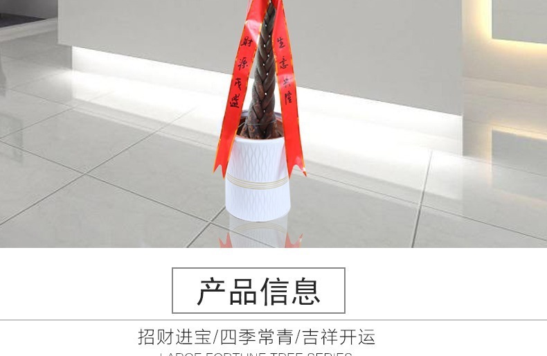 ��������ͼ�����ڻ��� �辰ֲ�� ���������� �������⻨�� ��