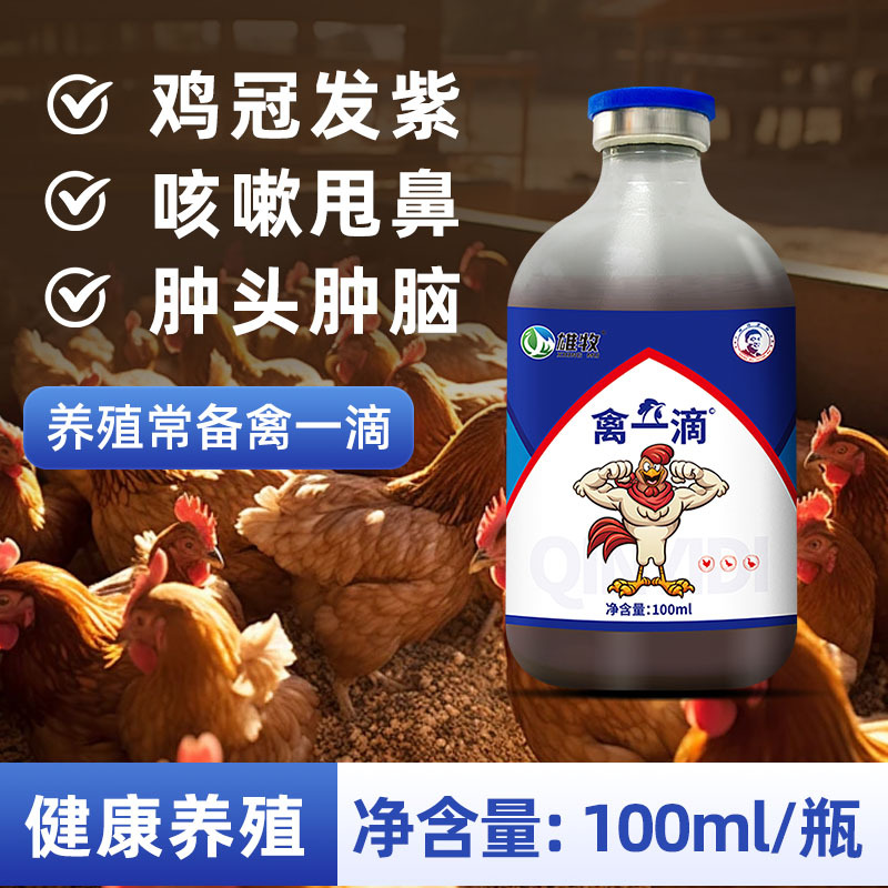 雄牧禽一滴鸡鸭鹅鸽子鹌鹑禽类养殖常备可兑水拌料