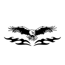 C24��������չ����܇�b��N����ȫ������C�w�N��ϩ�������N