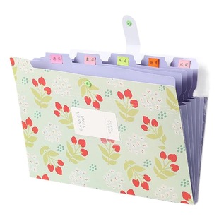 Organ bag paper storage bag fresh floral 6 grid organ bag folder pp organ multi-layer folder manufacturer