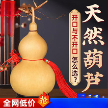 ��Ȼ���J�������J���Ї��Y�����_���T���T�͏d���P�[����̖����