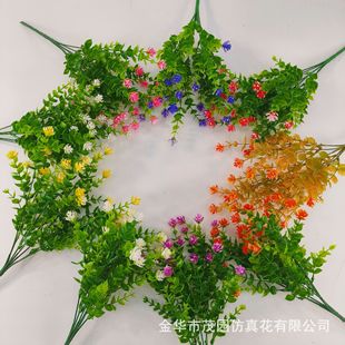���滨��7��35�^�ȼ��������X�� ɏ���軨���Ͻz�����R�d ���滨