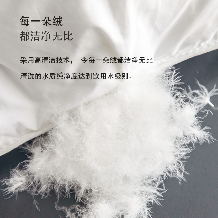 綿100%の羽毛布団、95%の白いガチョウの羽毛を使用した冬用布団、春秋用布団、厚手で暖かいダブルサイズの布団、五つ星ホテル基準