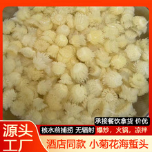 菊花小海蜇酒店同款桶装非即食凉拌下酒菜冷菜小水母小众火锅食材