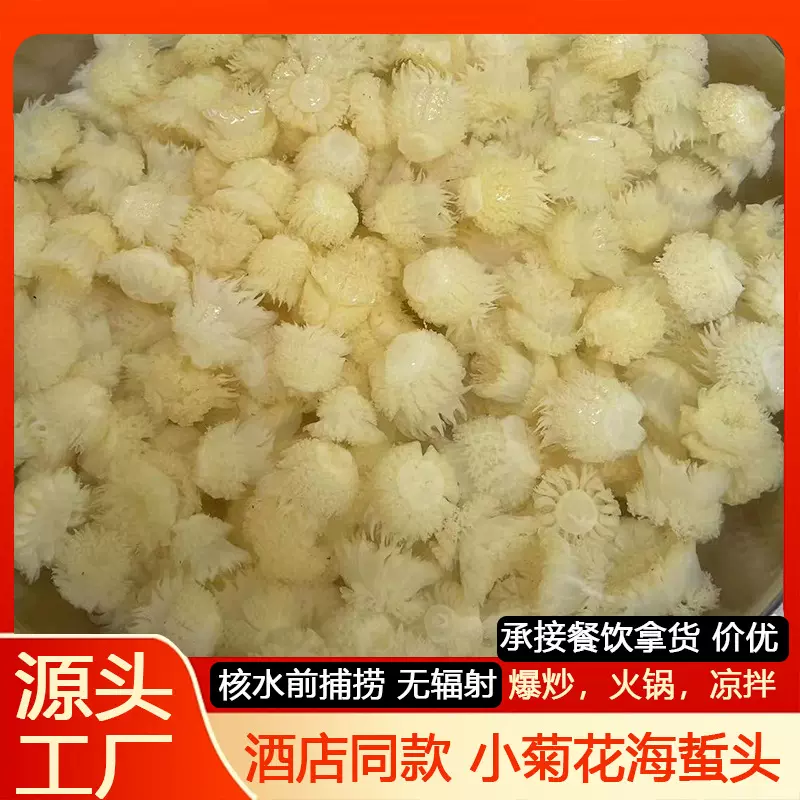 菊花小海蜇酒店同款桶装非即食凉拌下酒菜冷菜小水母小众火锅食材
