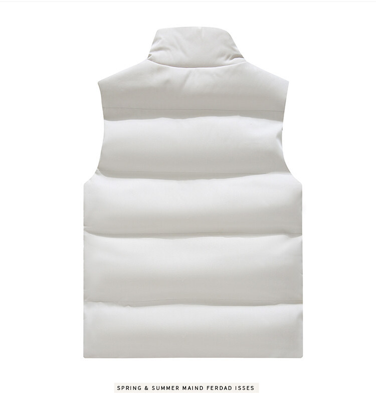 750_13.jpg O1CN01OGcJQQ1RLYWvNPxdu_!!2212404612095-0-cib.jpg