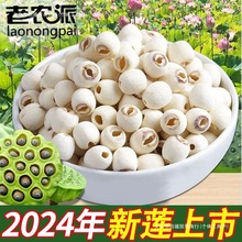 ɏȥryɏİןo]؛ĥƤɏӰٺҰɏȫ