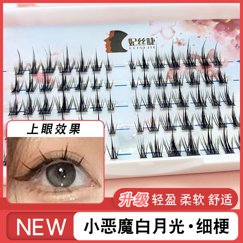 Reprehenderit qui in ea