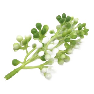 in stock simulation 8cm plastic beaded bouquet fish tank miniature landscape embellishment catering cake headdress wreath decoration