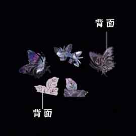 真质贝壳 定、制手工DIY材料螺钿片手工雕花吉他珠宝盒首饰盒镶嵌