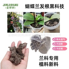 无土生物炭绵海绵扦插育苗基质蝴蝶兰兰科热带植物种植透气栽培土